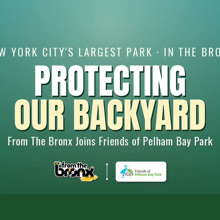 Protecting Our Backyard — From The Bronx joins Friends of Pelham Bay Park